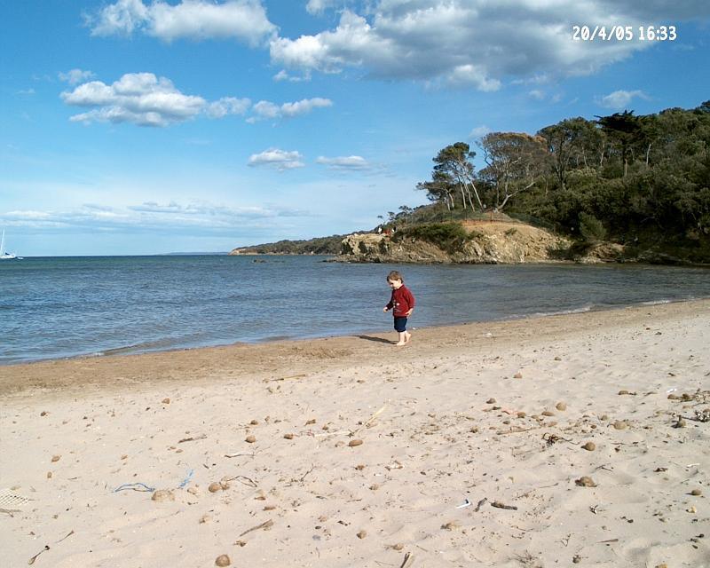 seul face a la mer.jpg